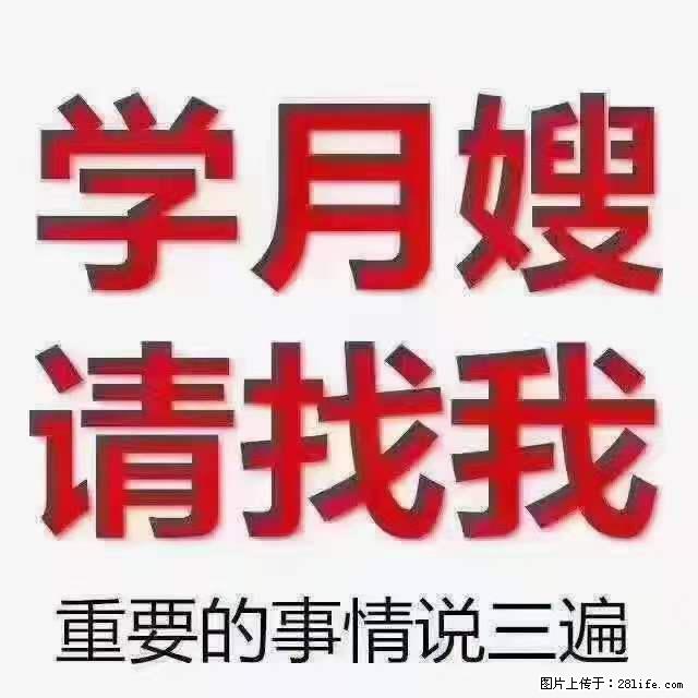 为什么要学习月嫂，育婴师？ - 新手上路 - 乌海生活社区 - 乌海28生活网 wuhai.28life.net