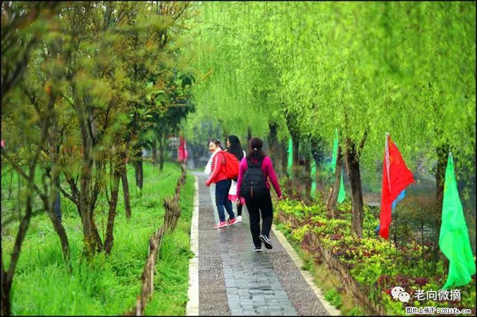 【春天，广西桂林灌阳县向您发出邀请！】江口老街又逢春 - 游山玩水 - 乌海生活社区 - 乌海28生活网 wuhai.28life.net