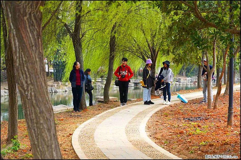 【春天，广西桂林灌阳县向您发出邀请！】江口老街又逢春 - 游山玩水 - 乌海生活社区 - 乌海28生活网 wuhai.28life.net