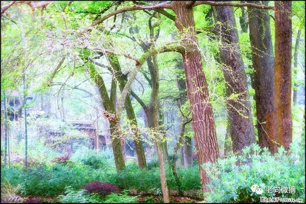 【春天，广西桂林灌阳县向您发出邀请！】在小龙村与春天约会 - 游山玩水 - 乌海生活社区 - 乌海28生活网 wuhai.28life.net
