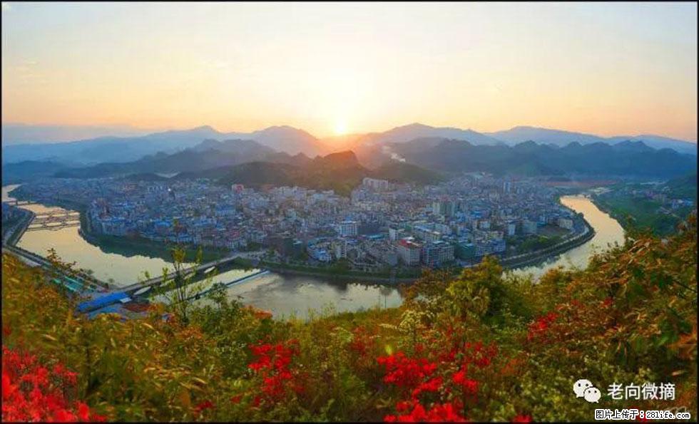 【春天，广西桂林灌阳县向您发出邀请！】登麒麟山，相约映山红 - 游山玩水 - 乌海生活社区 - 乌海28生活网 wuhai.28life.net