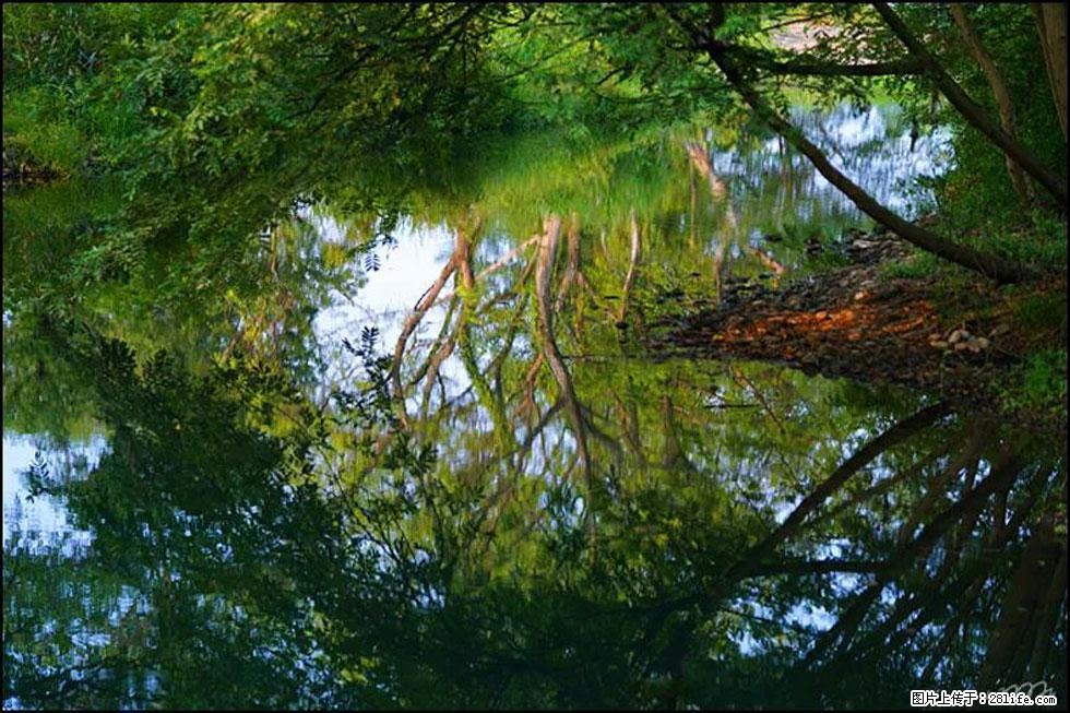 【春天，广西桂林灌阳县向您发出邀请！】熊家寨湿地公园 - 游山玩水 - 乌海生活社区 - 乌海28生活网 wuhai.28life.net
