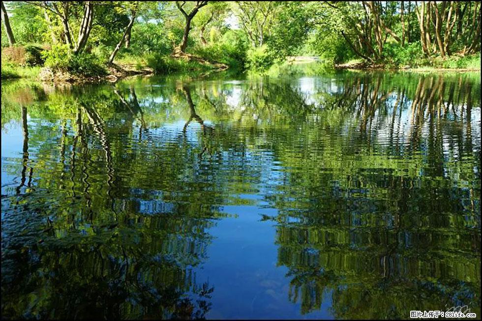 【春天，广西桂林灌阳县向您发出邀请！】熊家寨湿地公园 - 游山玩水 - 乌海生活社区 - 乌海28生活网 wuhai.28life.net