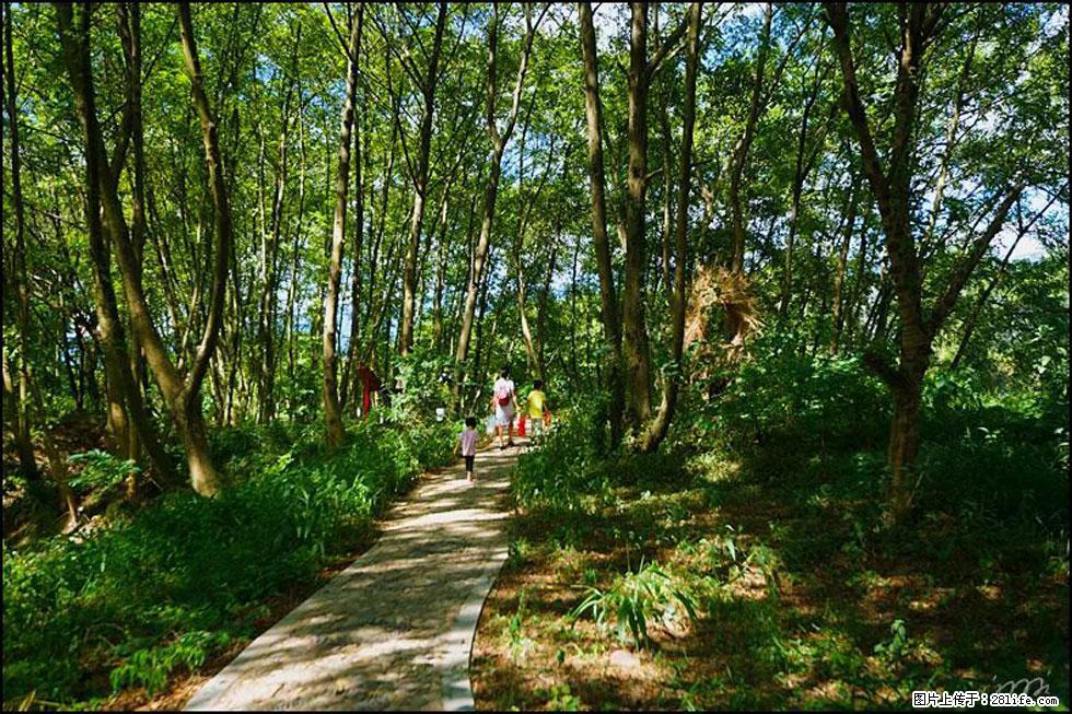 【春天，广西桂林灌阳县向您发出邀请！】熊家寨湿地公园 - 游山玩水 - 乌海生活社区 - 乌海28生活网 wuhai.28life.net