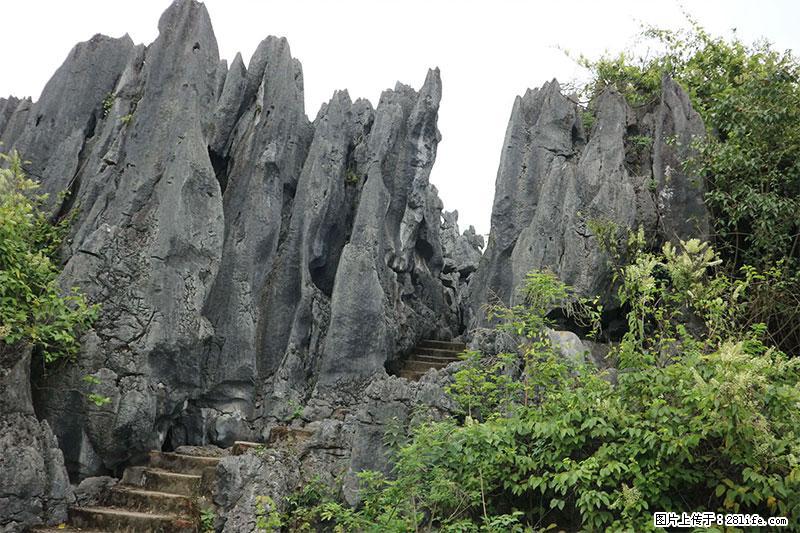 桂林旅游名城景点：灌阳文市石林 - 游山玩水 - 乌海生活社区 - 乌海28生活网 wuhai.28life.net