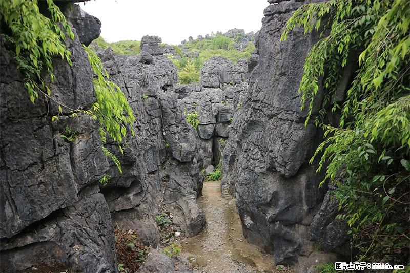 桂林旅游名城景点：灌阳文市石林 - 游山玩水 - 乌海生活社区 - 乌海28生活网 wuhai.28life.net