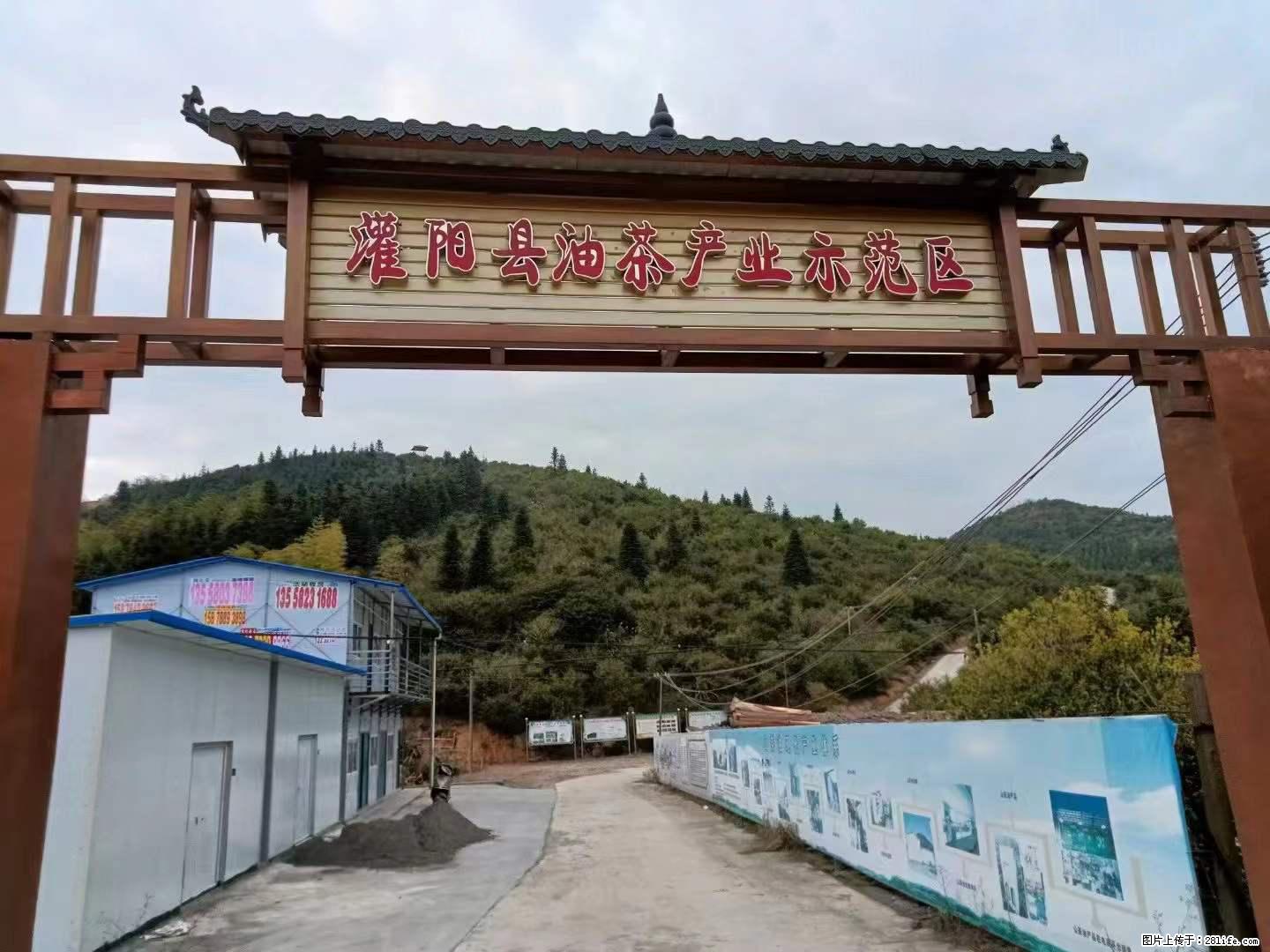 【灌阳县油茶产业示范区】一个有着充实的精神生活的人，对待身外之物自会有一种淡泊的态度 - 美食天地 - 乌海生活社区 - 乌海28生活网 wuhai.28life.net