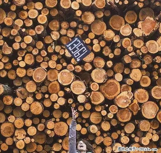 辞掉工作周游世界？现在他们在洗厕所…… - 游山玩水 - 乌海生活社区 - 乌海28生活网 wuhai.28life.net
