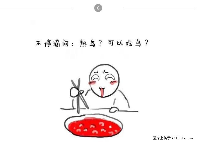 千万不要和这9种哈卵一起吃火锅！ - 美食天地 - 乌海生活社区 - 乌海28生活网 wuhai.28life.net