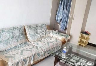 新天地中央公园 1室1厅1卫 - 乌海28生活网 wuhai.28life.net