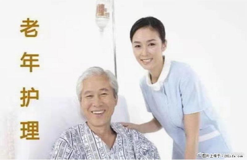 上海国企养老院，星级酒店环境，招聘养老护工 - 职场交流 - 乌海生活社区 - 乌海28生活网 wuhai.28life.net