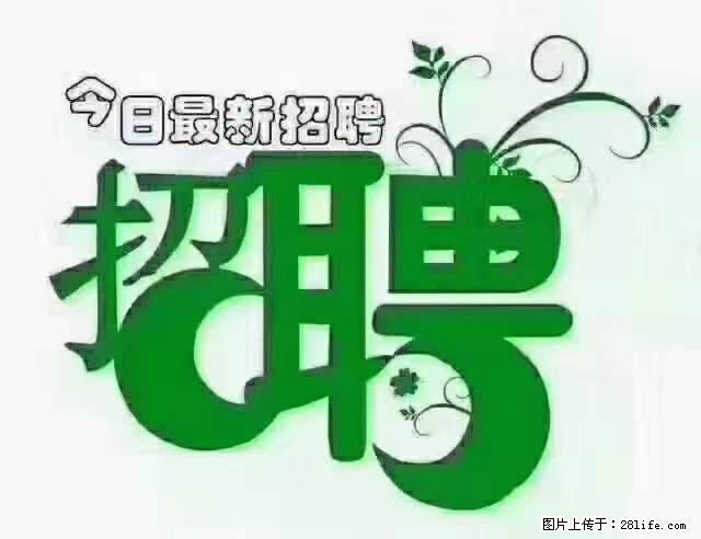 【招聘摄像师】待遇：试用期6000元/月，转正7000元/月+五险一金+餐补+节日福利+奖金 - 职场交流 - 乌海生活社区 - 乌海28生活网 wuhai.28life.net
