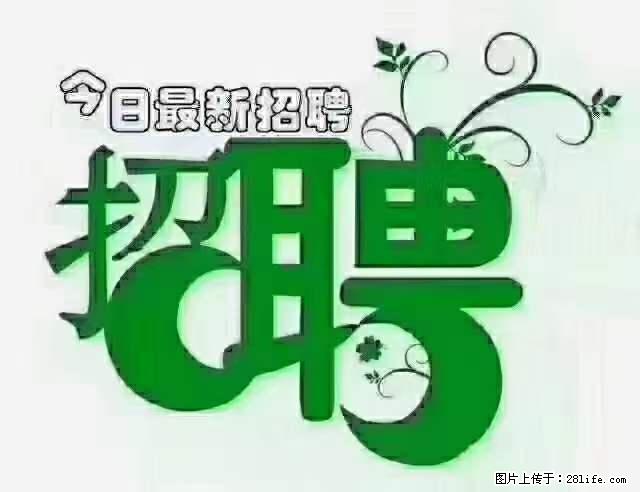 上海隔离酒店招人：55岁以下 男女不限 - 职场交流 - 乌海生活社区 - 乌海28生活网 wuhai.28life.net