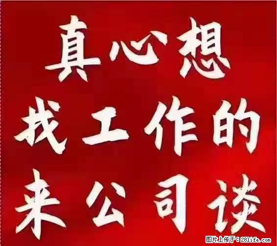 【上海】国企，医院招两名男保安，55岁以下，身高1.7米以上，无犯罪记录不良嗜好 - 职场交流 - 乌海生活社区 - 乌海28生活网 wuhai.28life.net
