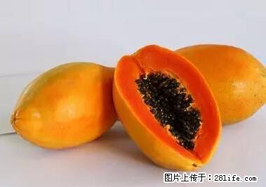 晕车、脚气、牙齿变黄、皮肤粗糙？学会这些三分钟搞定！ - 乌海生活资讯 - 乌海28生活网 wuhai.28life.net