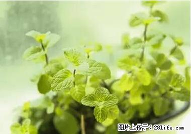 晕车、脚气、牙齿变黄、皮肤粗糙？学会这些三分钟搞定！ - 乌海生活资讯 - 乌海28生活网 wuhai.28life.net