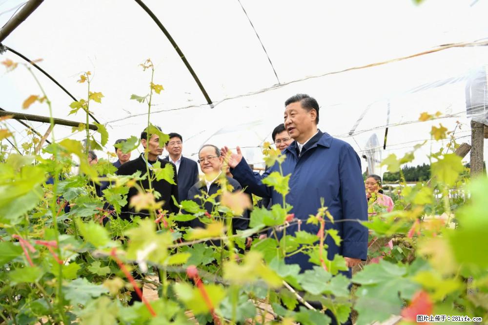 习近平赴广西考察调研 - 乌海生活资讯 - 乌海28生活网 wuhai.28life.net