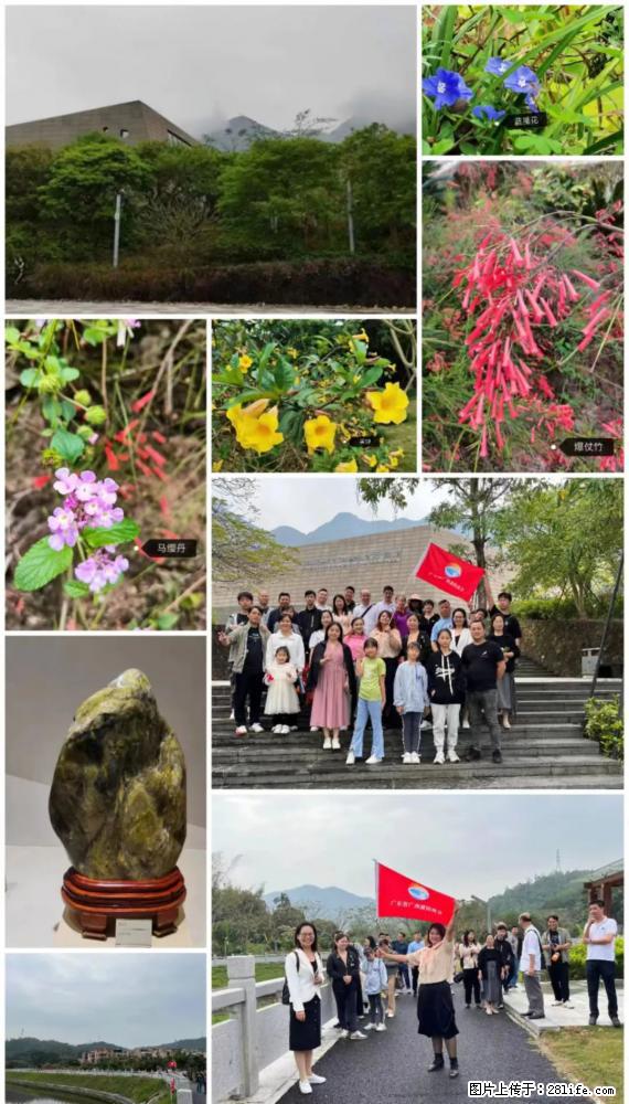 “粤灌文化 美好生活”油茶文化主题活动在广东深圳成功举办 - 乌海生活资讯 - 乌海28生活网 wuhai.28life.net