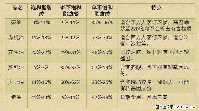 揭秘茶油的5大核心营养成分！被称为人体健康的“守护盾”！ - 乌海生活资讯 - 乌海28生活网 wuhai.28life.net