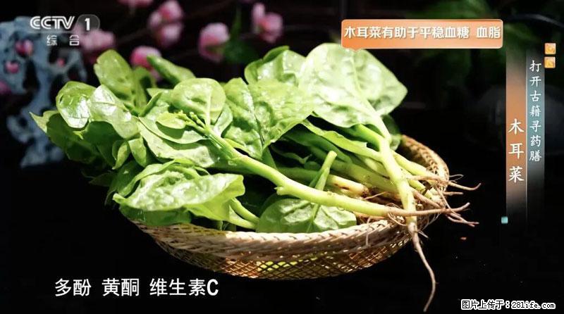 比牛奶补钙还厉害！凉血解毒、稳血糖...这菜冬天必吃，很多人却当草 - 乌海生活资讯 - 乌海28生活网 wuhai.28life.net