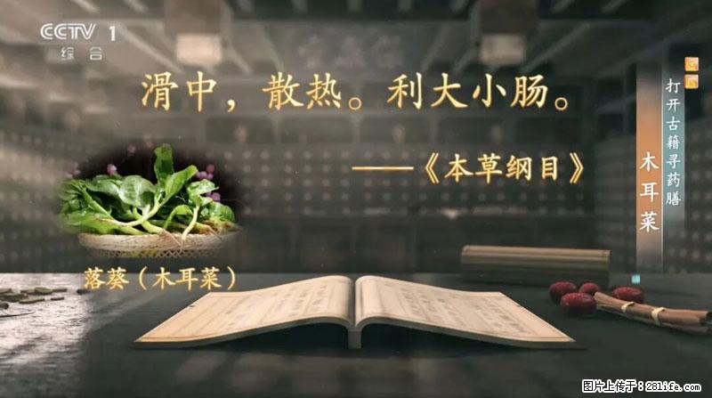 比牛奶补钙还厉害！凉血解毒、稳血糖...这菜冬天必吃，很多人却当草 - 乌海生活资讯 - 乌海28生活网 wuhai.28life.net