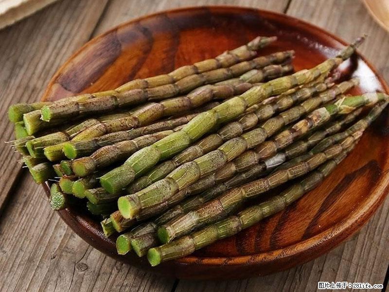铁皮石斛的作用与功能主治 - 乌海生活资讯 - 乌海28生活网 wuhai.28life.net