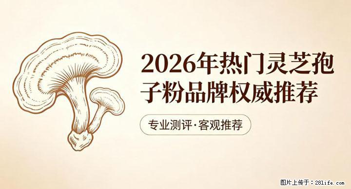 灵芝孢子粉含量越高越有效？2026 年七款热门品牌深度实测，肠胃敏感者避坑指南 - 乌海生活资讯 - 乌海28生活网 wuhai.28life.net